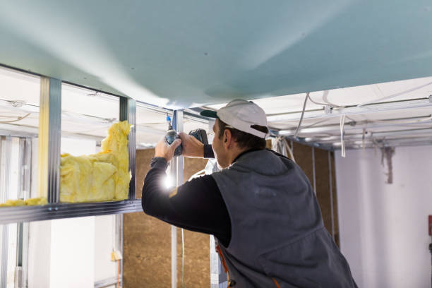 Best Spray Foam Insulation in Inez, TX